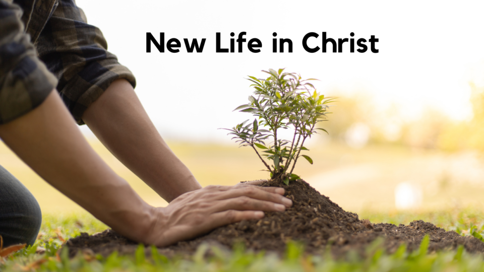 New Life in Christ - Preachers Corner